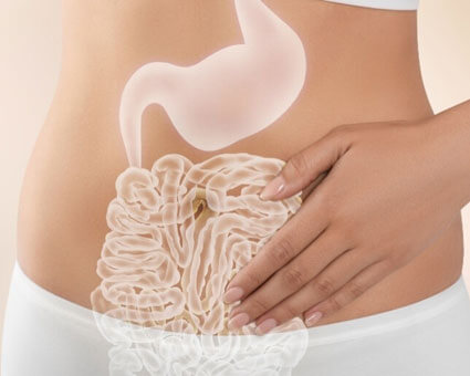 illustration of stomach